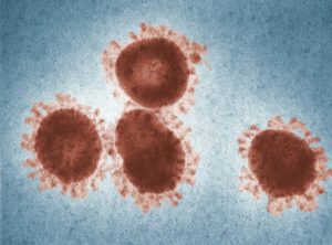 Coronavirus