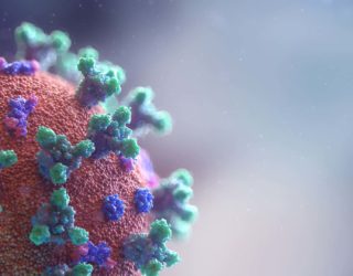 Coronavirus visualisation