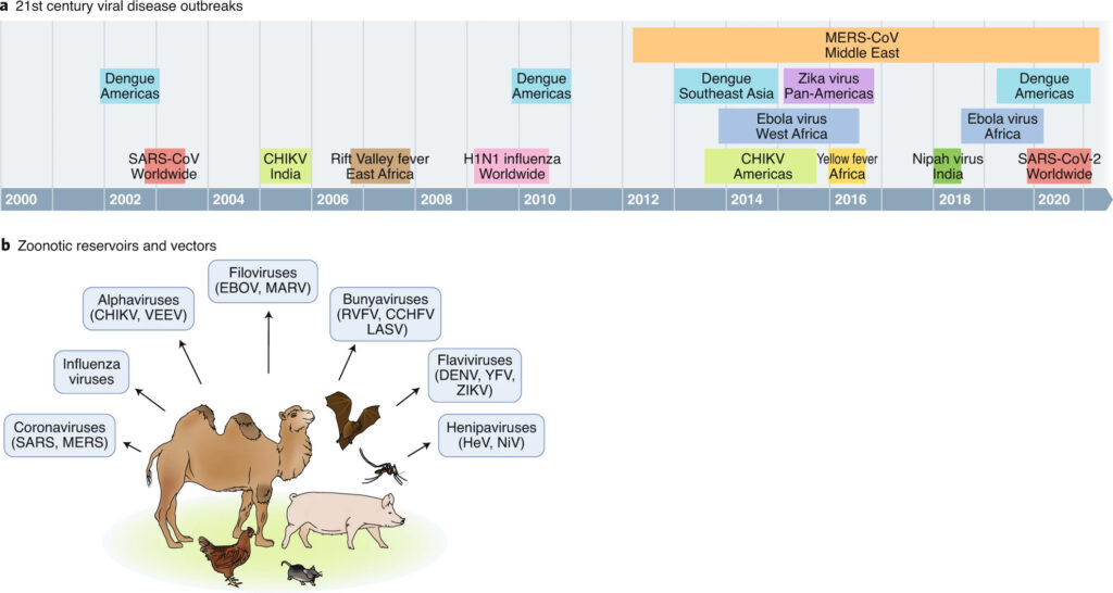 Historic overview of the twenty-first-century viral outbreaks.