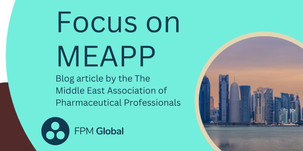 Focus on MEAPP blog article